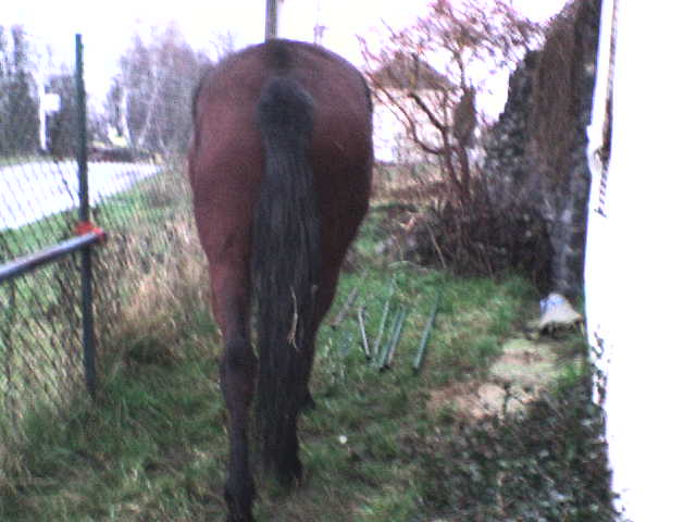 DSC00013.JPG